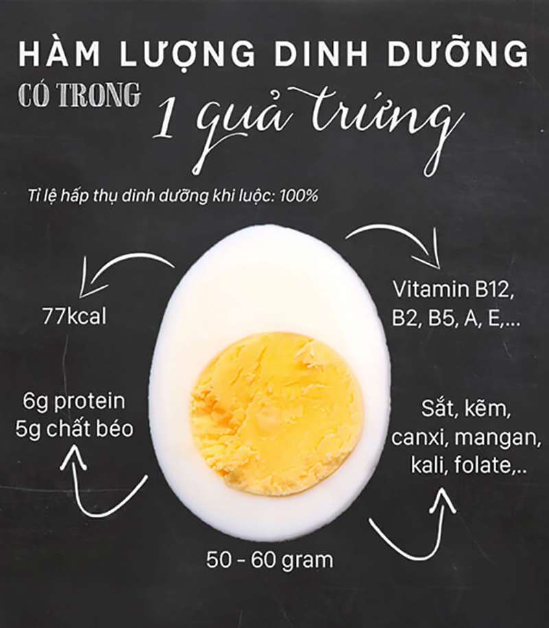 Ăn trứng gà luộc giúp cơ thể hấp thụ 100% chất dinh dưỡng của trứng