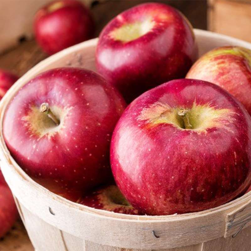 [Giải đáp] Một quả táo chứa bao nhiêu calo? Ăn táo giúp giảm cân là sai sự thật?